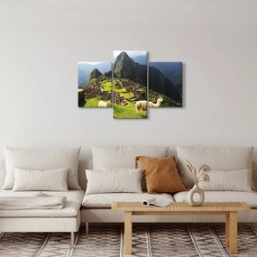 Obraz - Lamy v Machu Picchu (90x60 cm)