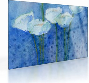 Sklenený obraz - Biele tulipány (70x50 cm)