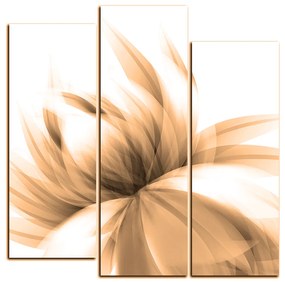 Obraz na plátne - Elegantný kvet - štvorec 3147FC (105x105 cm)