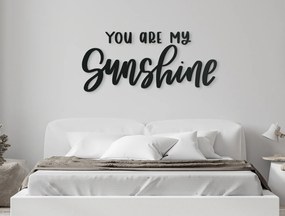 drevko Nápis na stenu You are my sunshine Rozmer obrazu: 19 x 42,5 cm, Farba dekorácie: Čierna