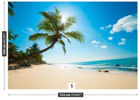 Fototapeta Vliesová Tropická pláž 104x70 cm