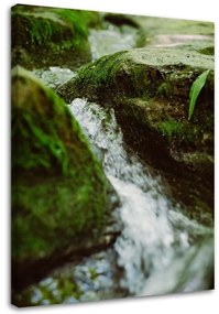 Obraz na plátně Příroda říčních kamenů - 70x100 cm