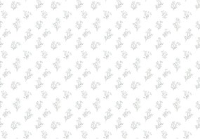 Fototapeta - Vetvičky (147x102 cm)