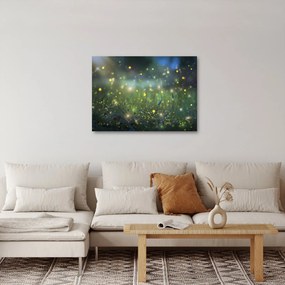 Obraz - Čarovná noc (70x50 cm)