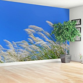 Fototapeta Vliesová Modrá tráva 208x146 cm