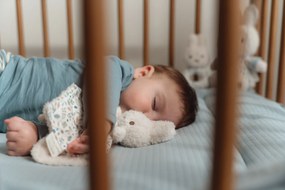 Darčeková sada králiček Miffy Lucky Leaves