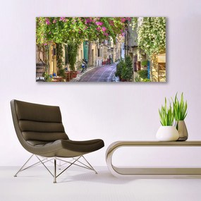 Obraz plexi Aleje kvety domy rastlina 120x60 cm