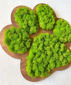 Machový obraz Labka 30 cm