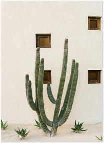 Plagát Cabo Cactus IX