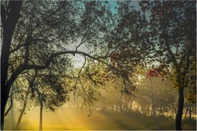 Obraz východu slnka (90x60 cm)