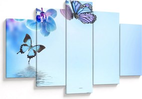 Obraz - Motýľ na kvetoch orchidey, modrý (150x105 cm)