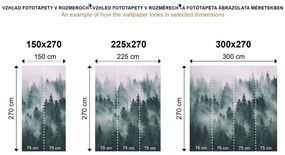 Samolepiaca fototapeta les zahalený do hmly