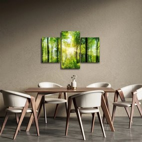 Obraz - Svitanie v lese (90x60 cm)