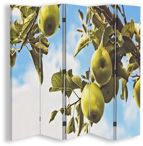 Ozdobný paraván Ovoce Listnatý strom - 180x170 cm, päťdielny, obojstranný paraván 360°