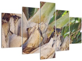 Obraz veveričky na strome (150x105 cm)