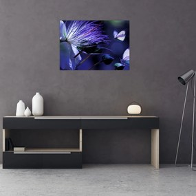 Obraz - Tropický kvet (70x50 cm)