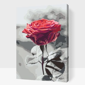 Gario Maľovanie podľa čísel Rozkvitnutá ruža Rozmery: 40 x 60 cm, Rámovanie: S vnútorným rámom