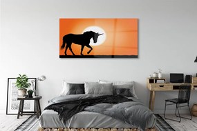 Obraz na akrylátovom skle Sunset unicorn 140x70 cm