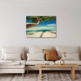 Obraz - Čisté more s palmou (70x50 cm)