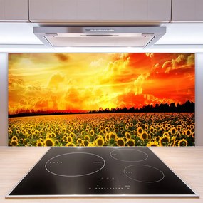 Sklenený obklad Do kuchyne Lúka slnečnica kvety 140x70 cm