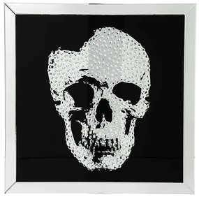 Mirror Skull obraz čierny