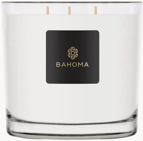 Ručne vyrobená vonná sviečka's 2 knôtmi Classic (orange spice)