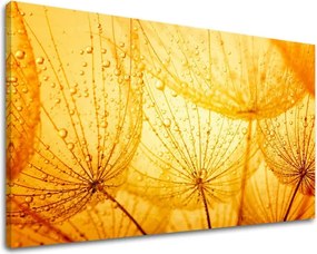 Obraz na stenu KVETY KV059E11 - 60x90 cm