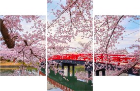 Obraz - Hirosaki, Japonsko (90x60 cm)