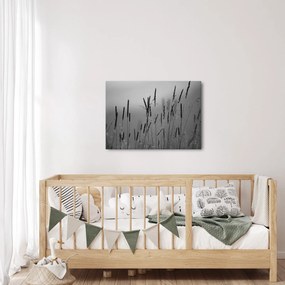 Obraz - Steblá trávy (70x50 cm)