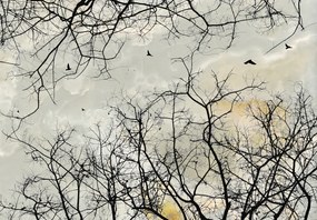 Fototapeta - Koruny stromov (147x102 cm)