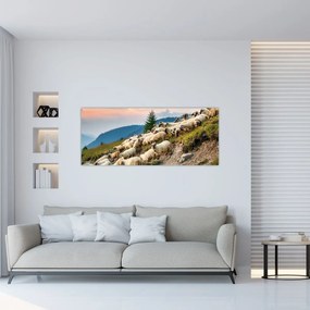 Obraz - Stádo oviec (120x50 cm)