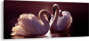 Obraz - Labute na jazere (120x50 cm)