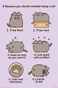 Plagát, Obraz - Pusheen - Reasons to be a Cat, (61 x 91.5 cm)