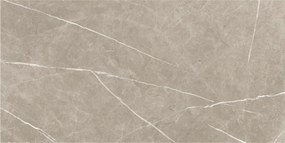 Dlažba Eternal Taupe Pulido 60x120 R