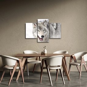 Obraz - Vlk v prírode (90x60 cm)
