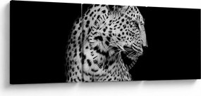 Obraz - Leopard (s hodinami) (90x30 cm)