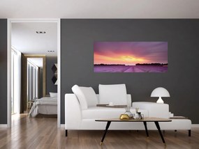 Obraz - Levanduľové pole (120x50 cm)