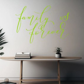 Veselá Stena Samolepka Family is forever Farba: zelená, Veľkosť: 60 x 43 cm