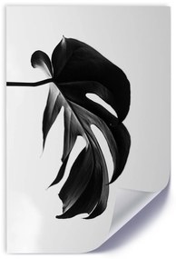 Gario Plagát Čierna a biela monstera list Farba rámu: Hnedá, Rozmery: 30 x 45 cm