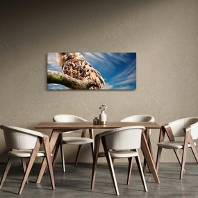 Obraz sovy (120x50 cm)