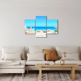 Obraz - Zátišie s mušľami (90x60 cm)