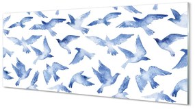 Obraz na akrylátovom skle Maľované vtáky 120x60 cm