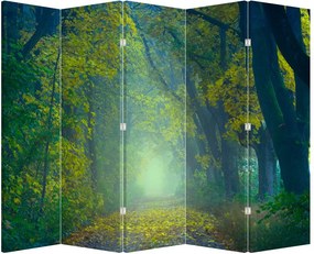 Paraván - Cesta lemovaná stromami (210x170 cm)