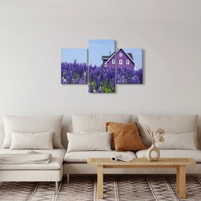 Obraz levanduľového poľa (90x60 cm)