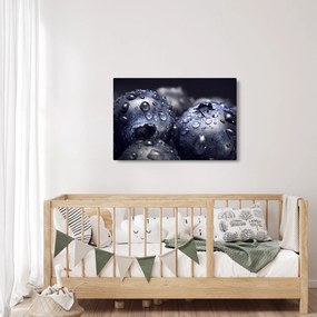 Obraz ovocia s kvapkami vody (90x60 cm)