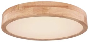 Globo 41745-24 - LED Stmievateľné stropné svietidlo RAINER LED/24W/230V + DO