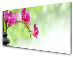 Nástenný panel  Kvet kamene rastlina 120x60 cm