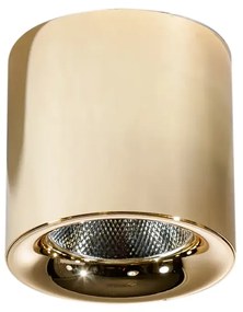 LED bodové svetlo Mane 20W zlaté