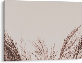 Obraz - Sušená tráva (70x50 cm)