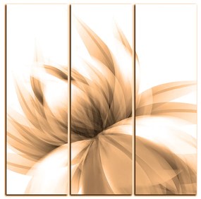 Obraz na plátne - Elegantný kvet - štvorec 3147FB (105x105 cm)